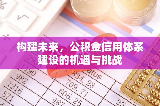 彰化市构建未来，公积金信用体系建设的机遇与挑战