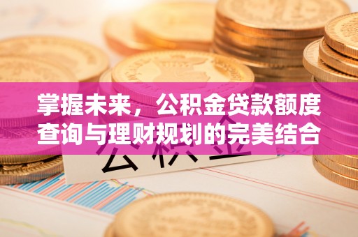 彰化市掌握未来，公积金贷款额度查询与理财规划的完美结合
